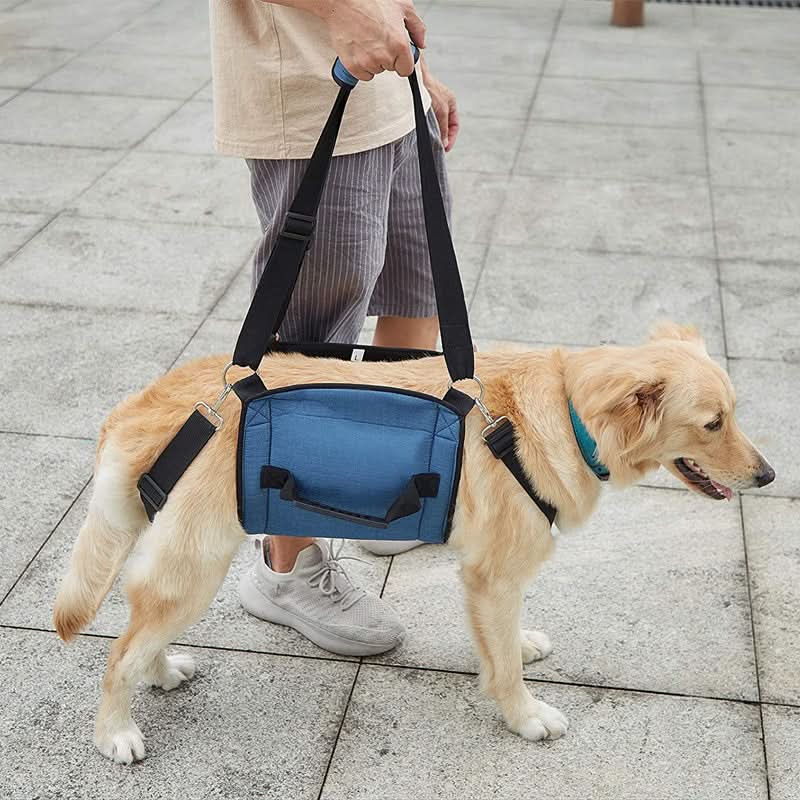 Harnais de soutien pour chiens - HarnCar