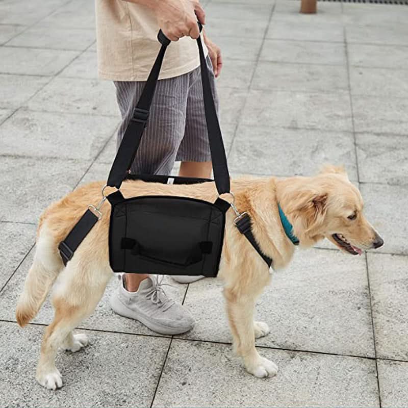 Harnais de soutien pour chiens - HarnCar