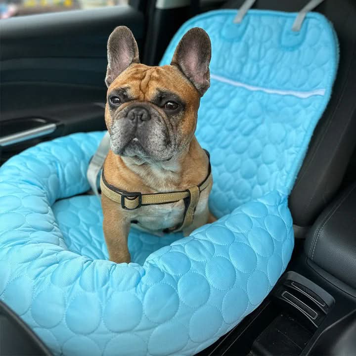 Lit de voiture rafraîchissant pour chie