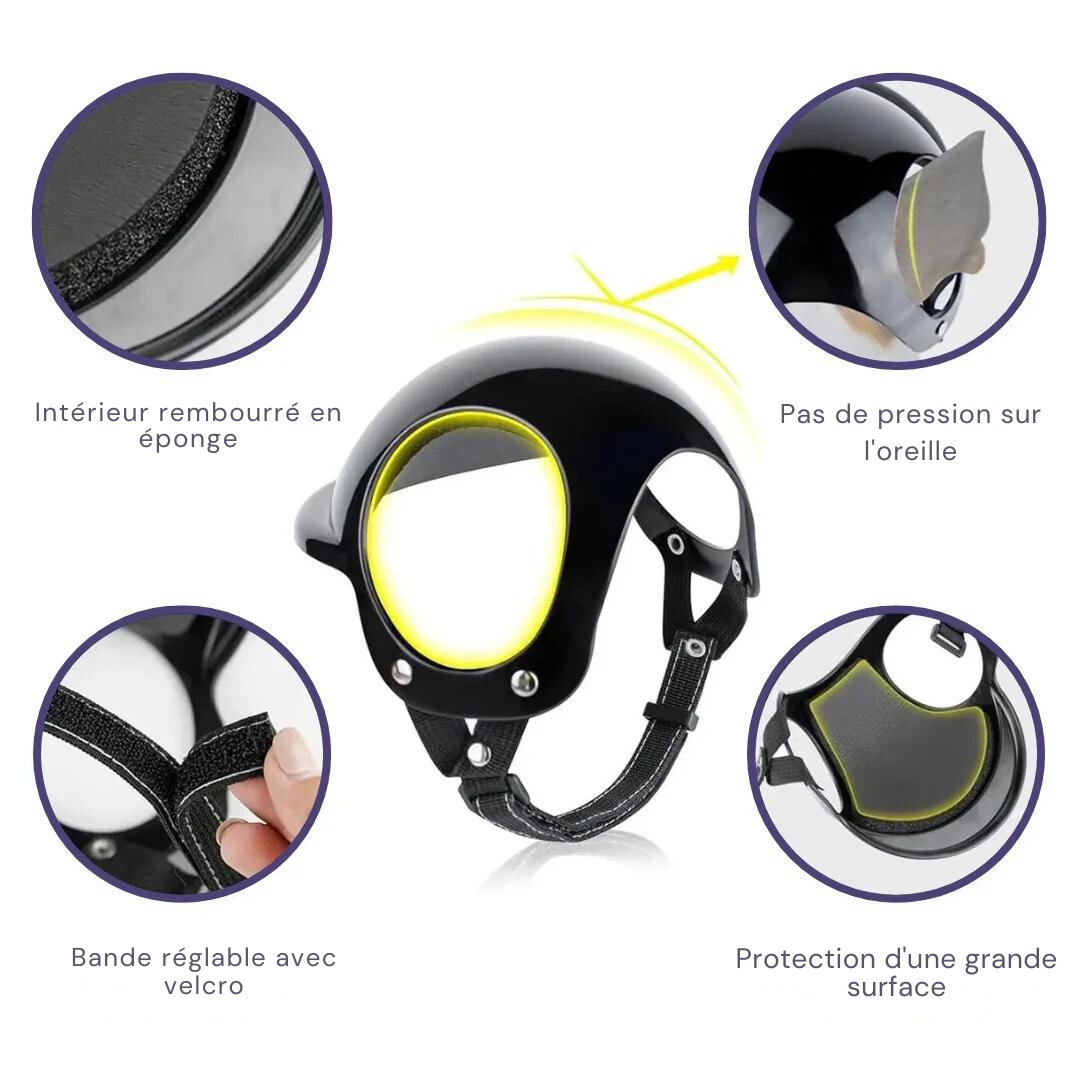 Casque et lunettes pour chie