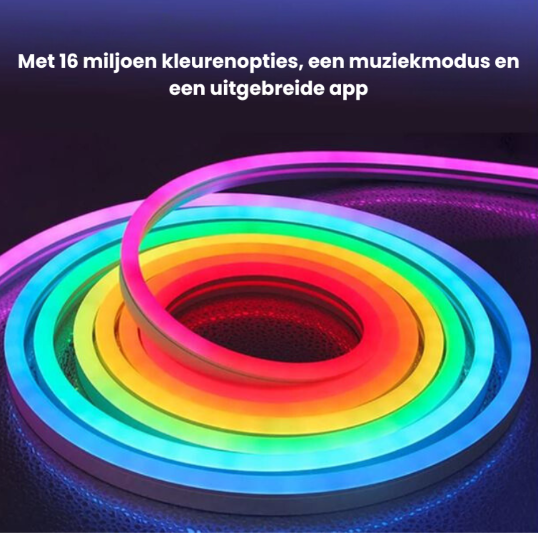 LED NEON - Nombreuses fonctions!