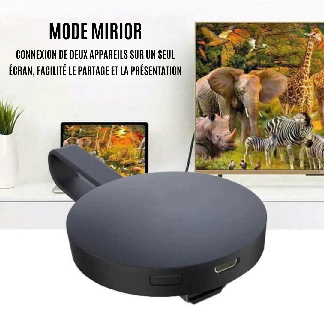 ScreenToGo | Partager n'importe quel écran n'importe où
