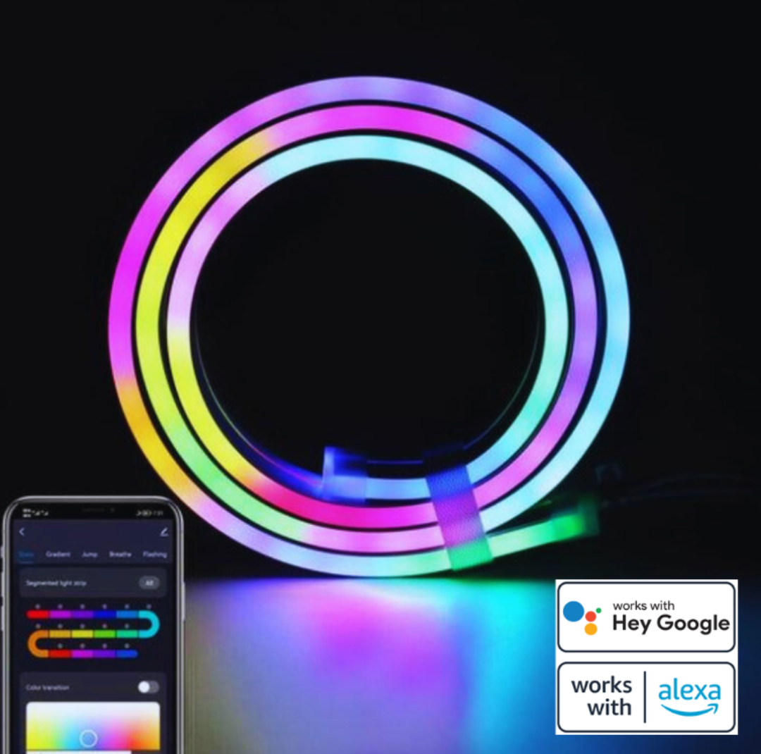 LED NEON - Nombreuses fonctions!