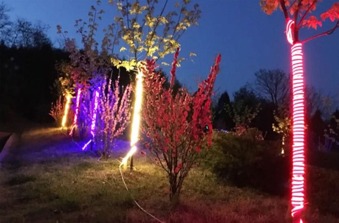 LED NEON - Nombreuses fonctions!