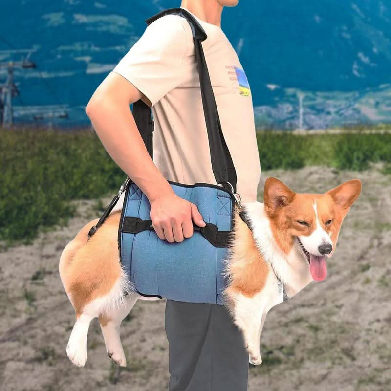 Harnais de soutien pour chiens - HarnCar